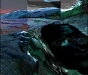 bird-of-night-and-a-mask-by-the-fjord